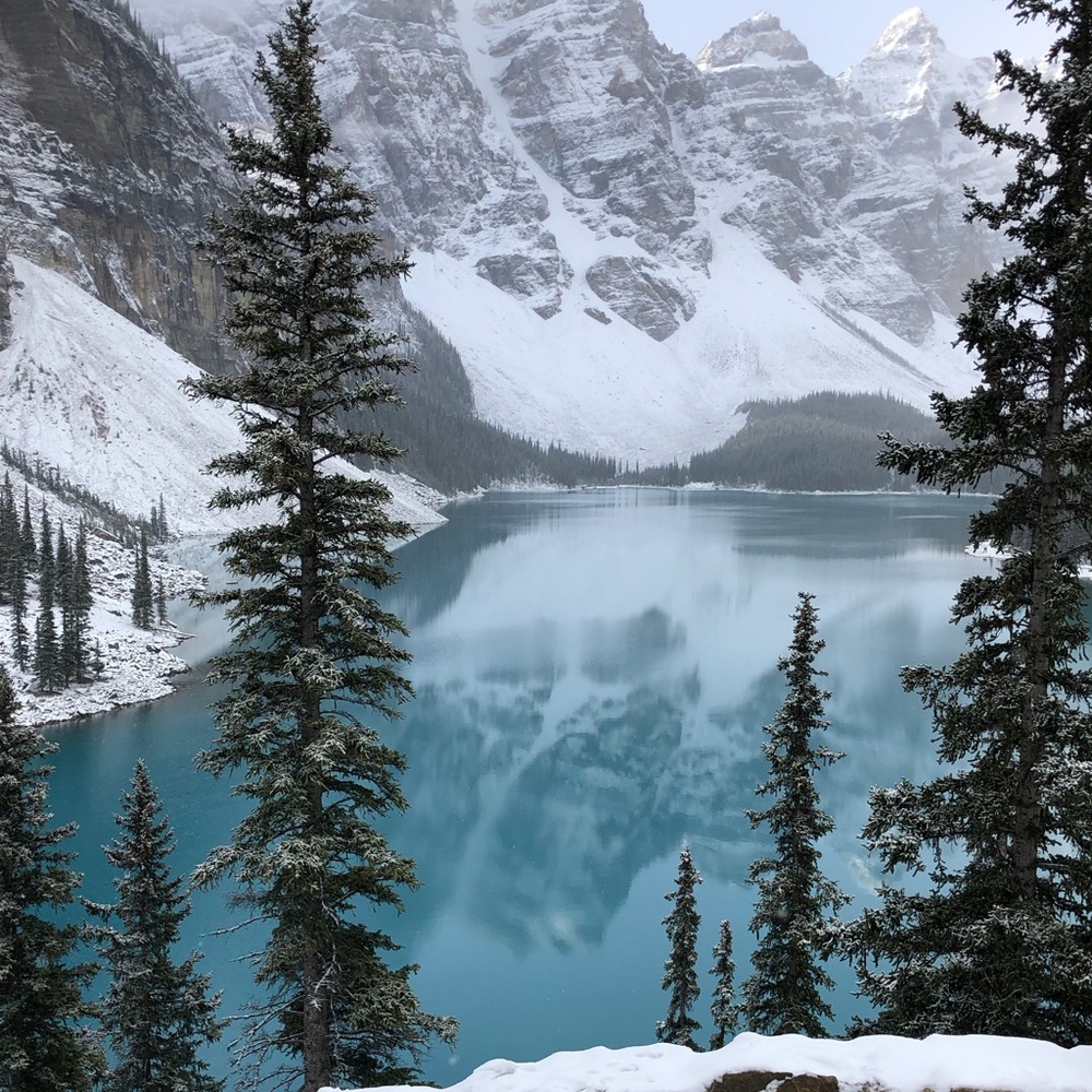 Meet your Posher, Amelia